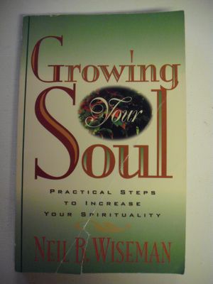 Growing Your Soul Practical Steps to Increase Your Spirituality..