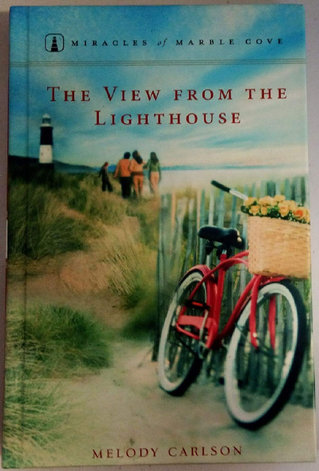 The view from the lighthouse..