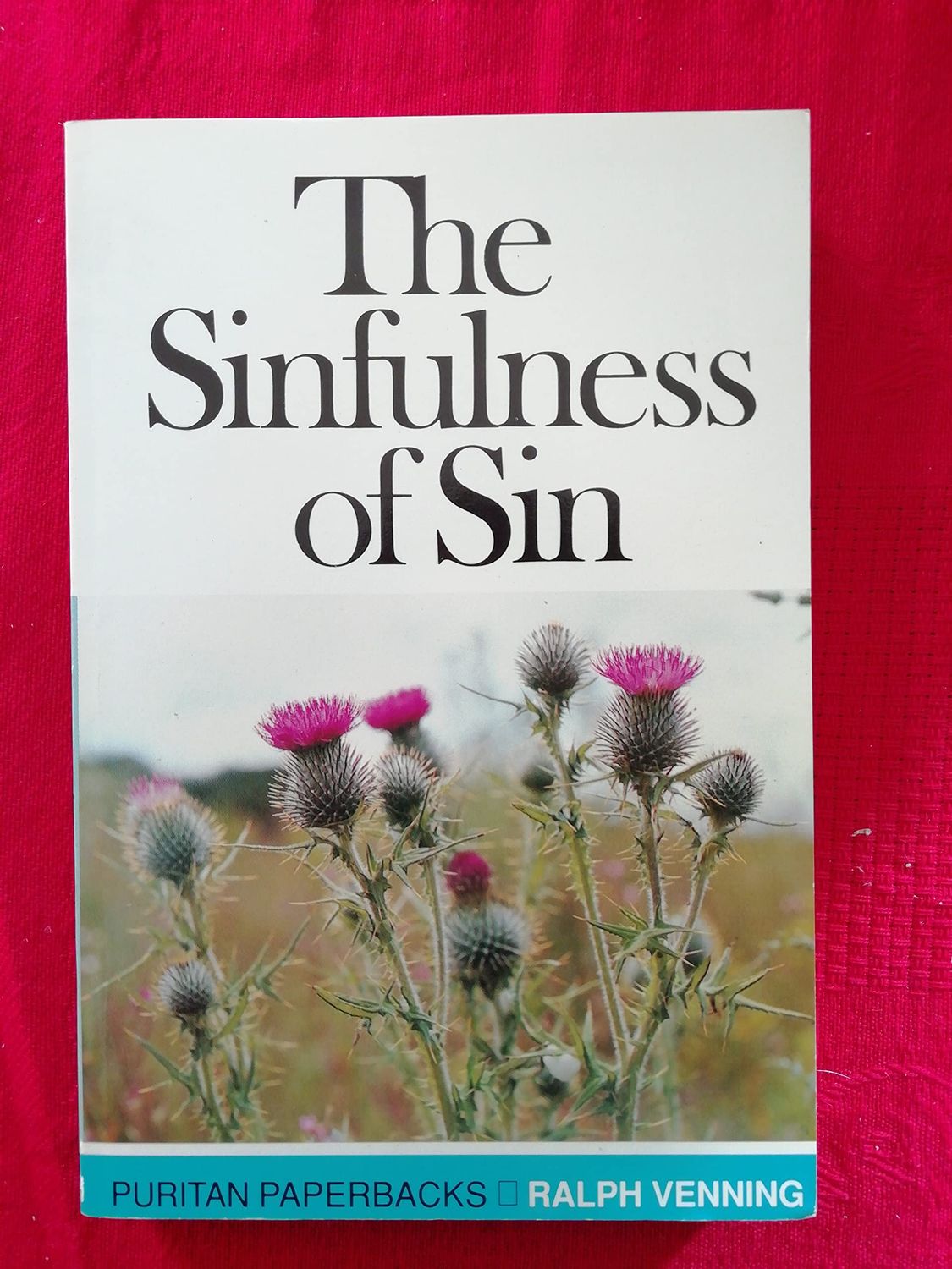 The Sinfulness of Sin..
