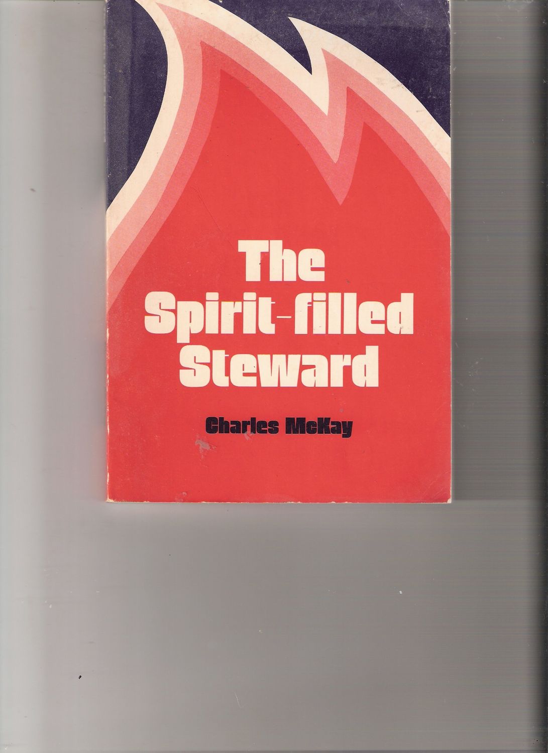 The Spirit-filled steward..