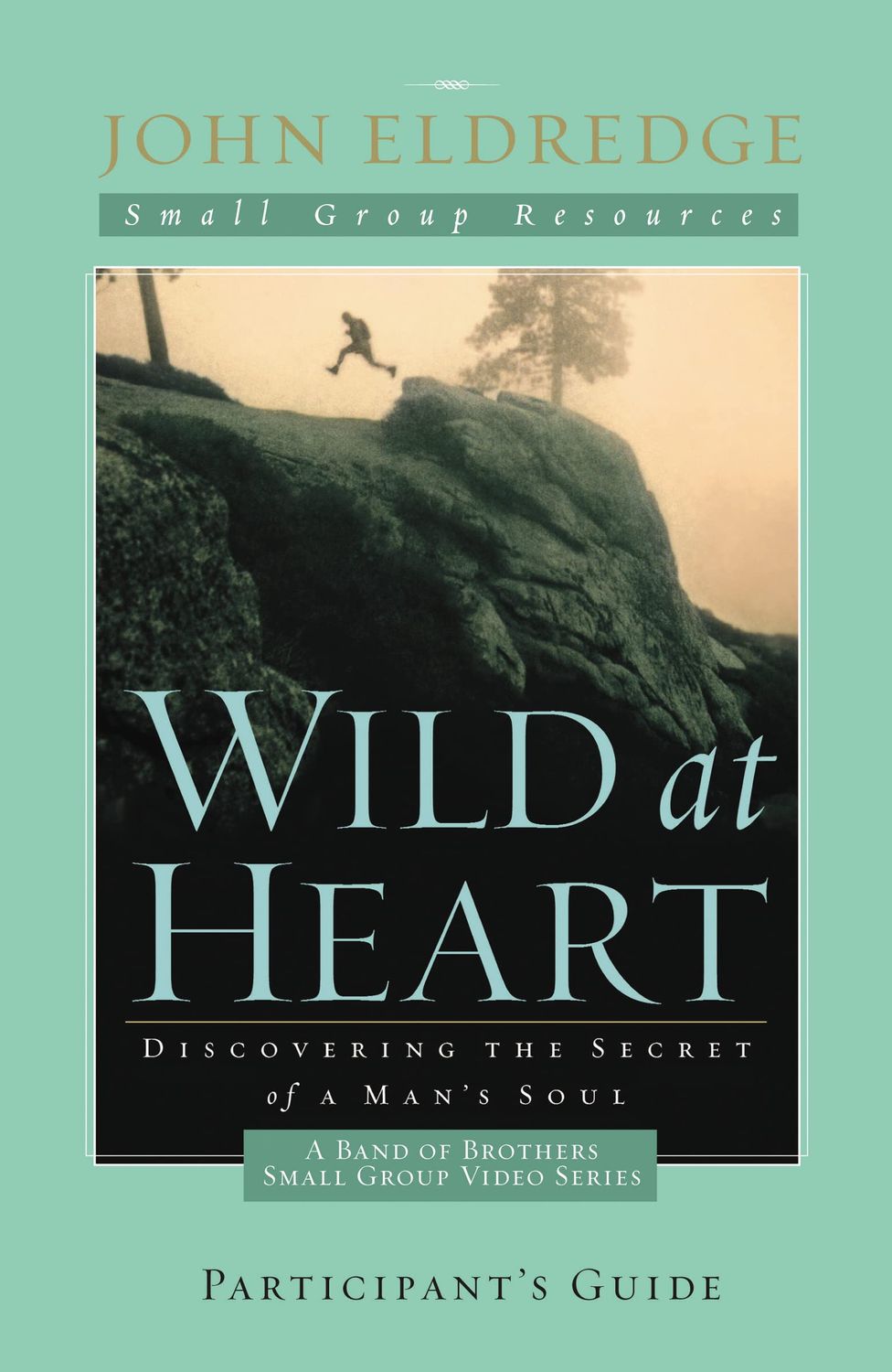 Wild at Heart: A Band of Brothers Small Group Participant's Guide..