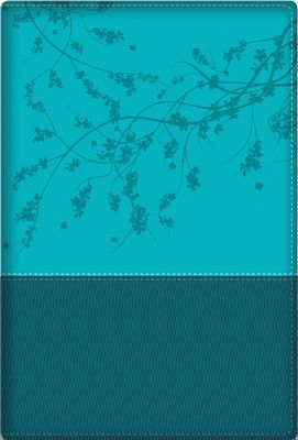 A Woman After God's Own Heart, Teal