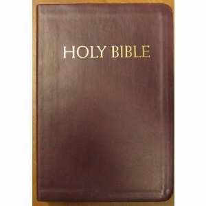 Catholic Companion Edition Nabre