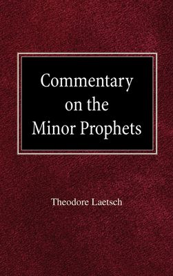 Commentary on the Minor Prophets..