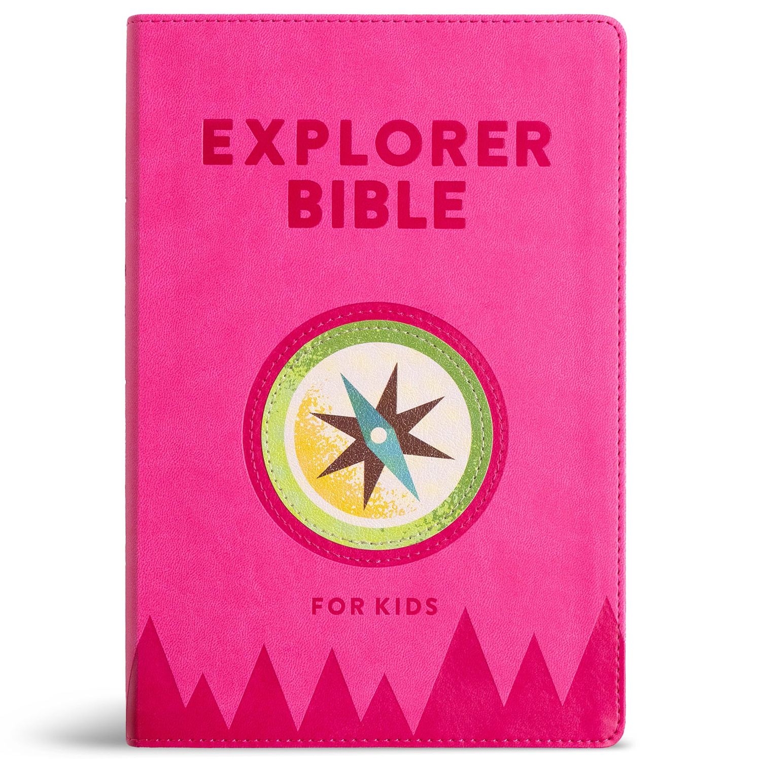 KJV Explorer Bible for Kids, Bubble Gum LeatherTouch