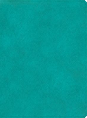 CSB Apologetics Study Bible, Teal LeatherTouch