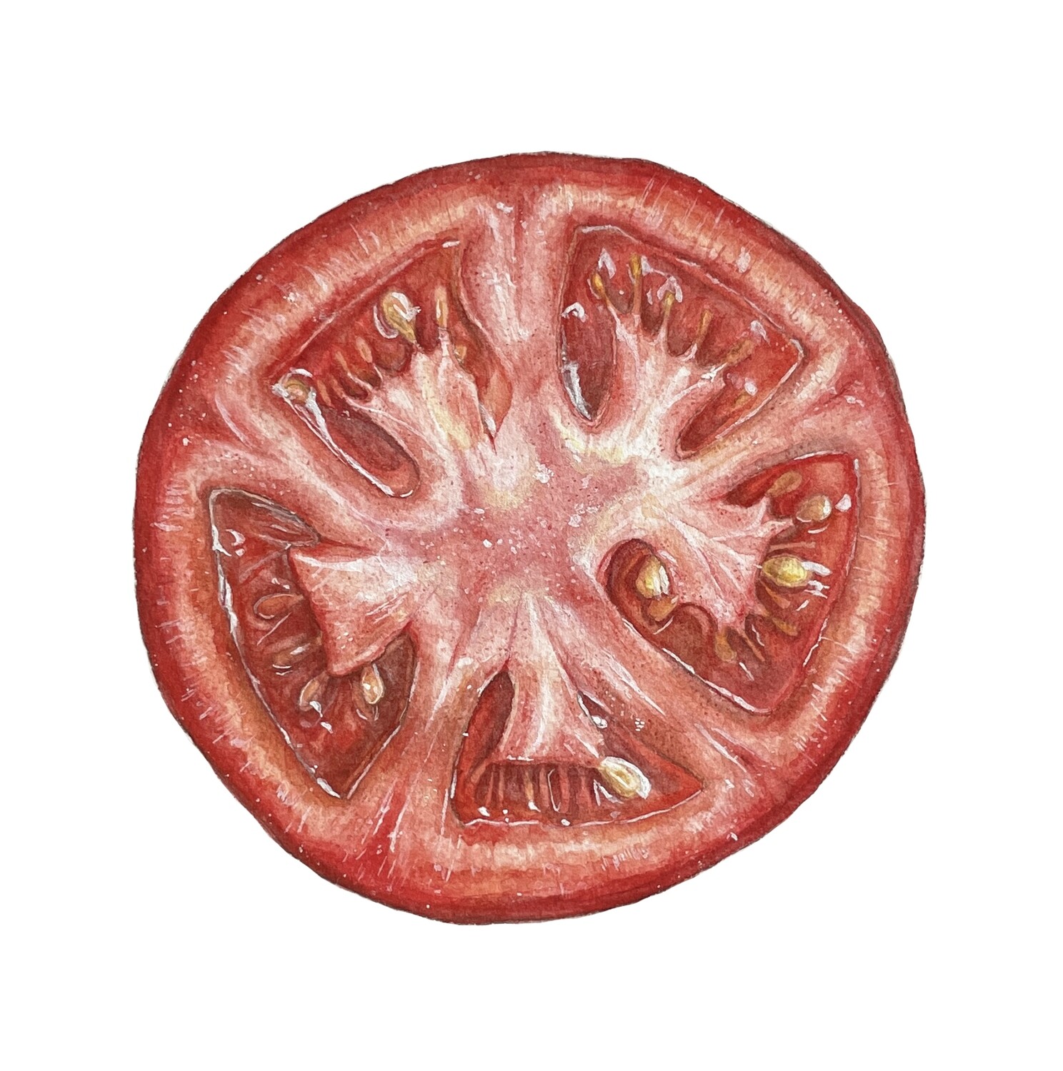 &quot;Groundhogs Delight&quot;