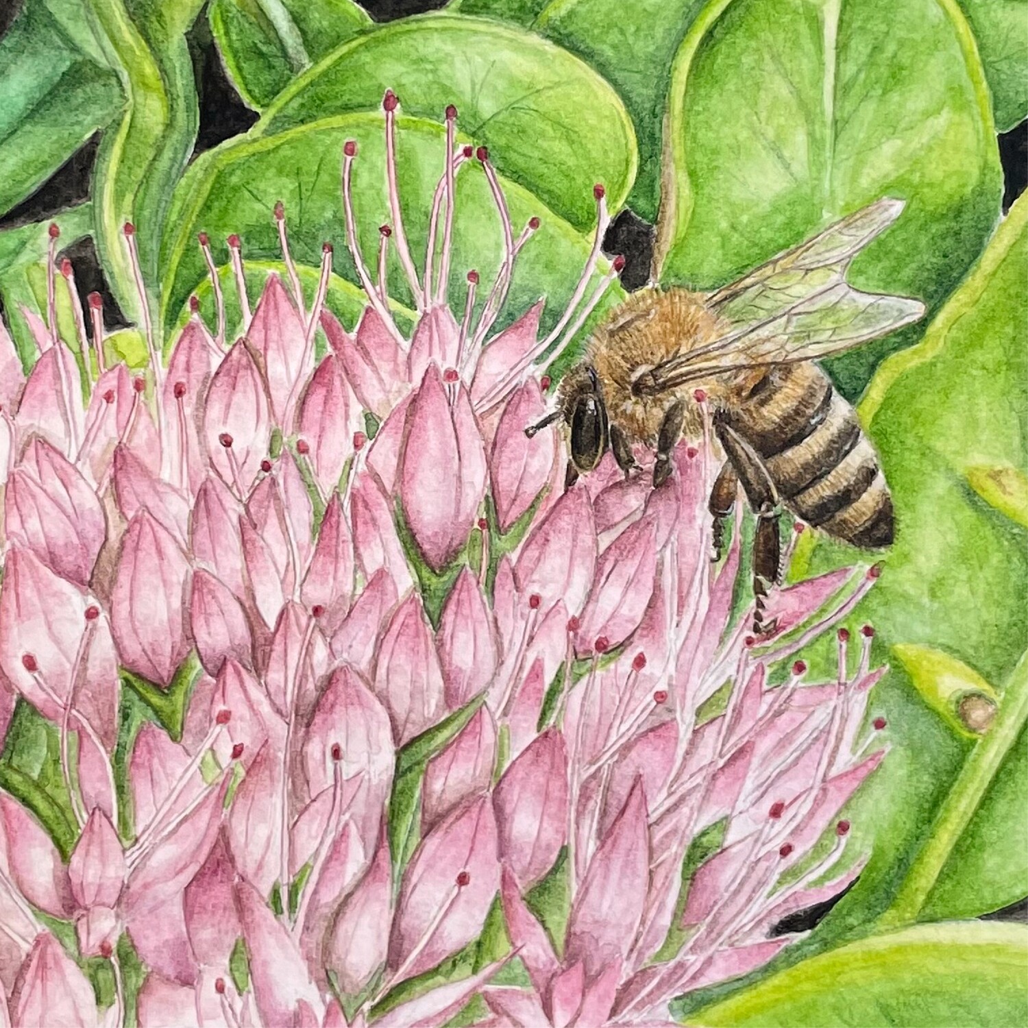 &quot;Lessons From the Honey Bee&quot;