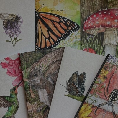 journals &amp; sketchbooks