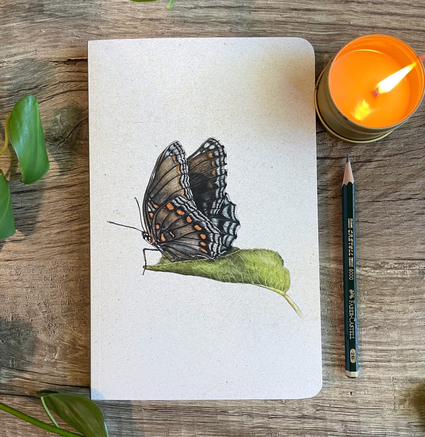Red-spotted Purple Butterfly Journal