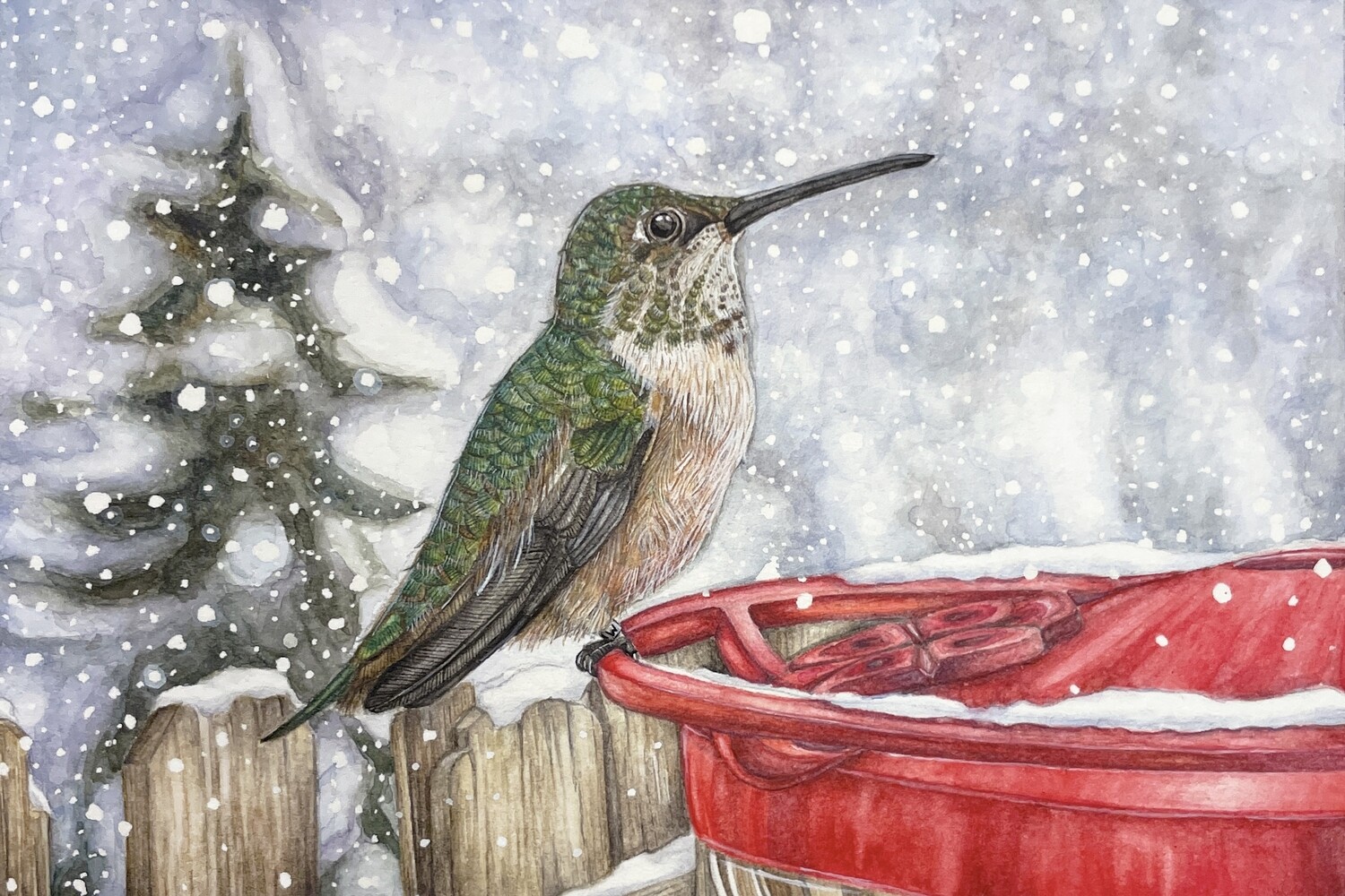 &quot;Sella the Rufous Hummingbird&quot;