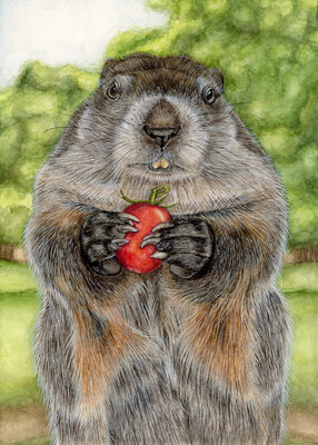 &quot;Walter the Groundhog&quot;