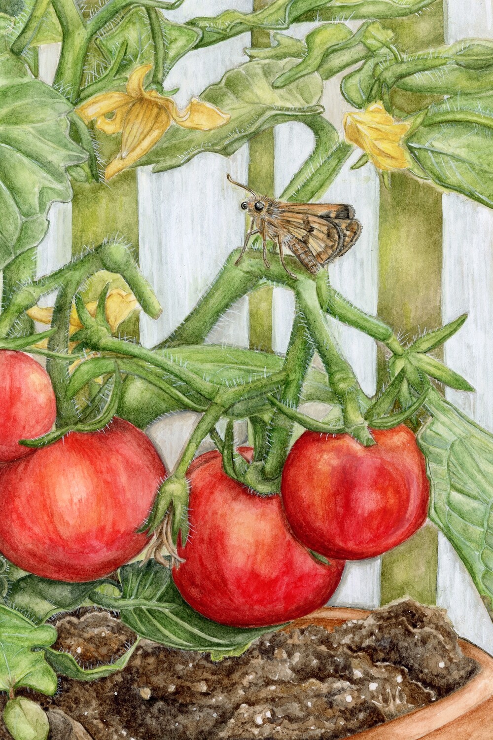 &quot;A Skipper&#39;s Rest&quot;