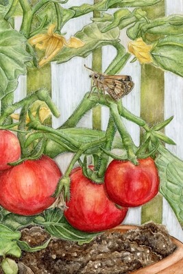 &quot;A Skipper&#39;s Rest&quot;