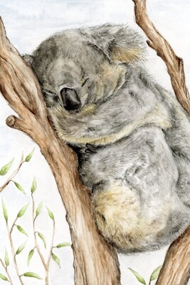 &quot;For Australia&quot;