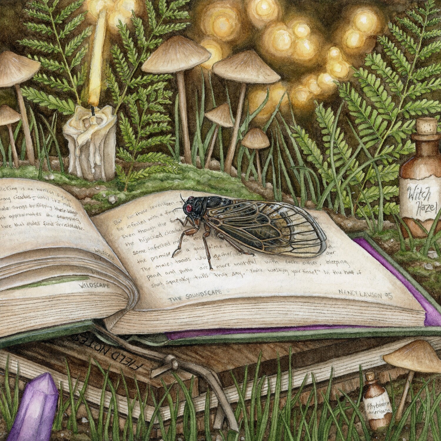 &quot;Albus the Periodical Cicada&quot;