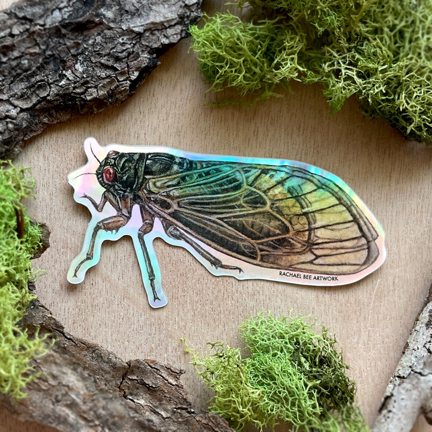 &quot;Albus the Periodical Cicada&quot;
