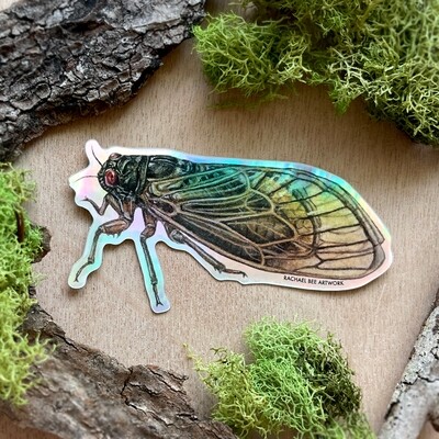 "Albus the Periodical Cicada" "Albus the Periodical Cicada"