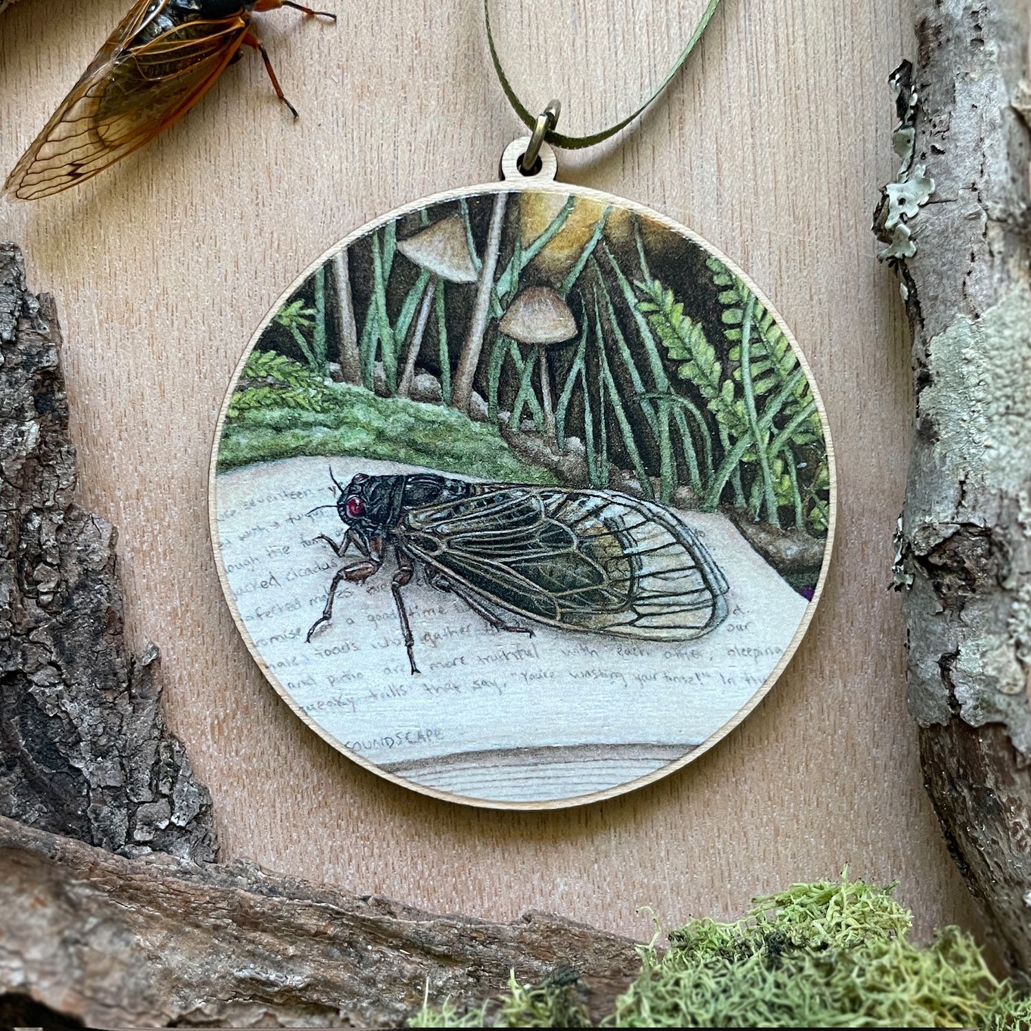 &quot;Albus the Periodical Cicada&quot;