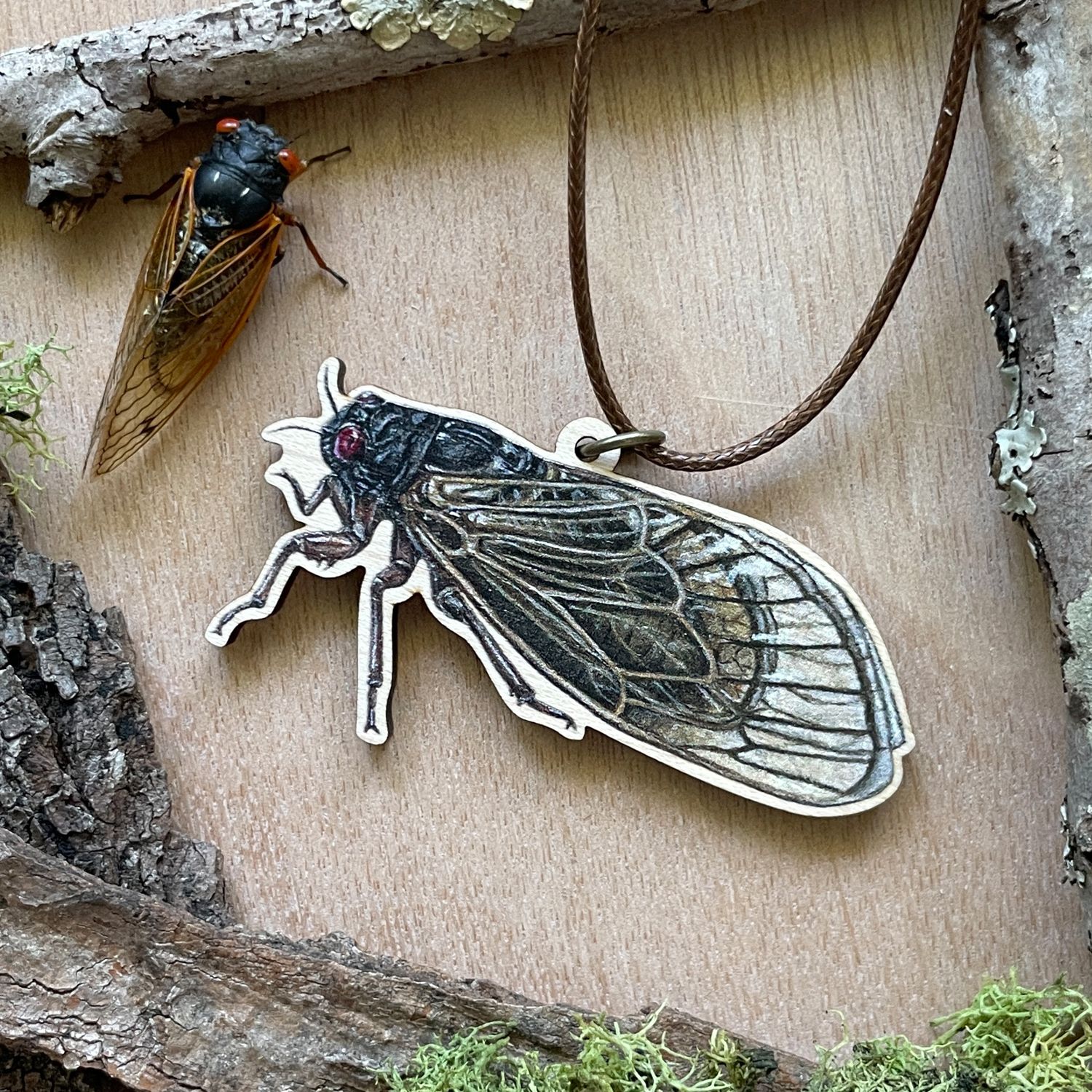 &quot;Albus the Periodical Cicada&quot;