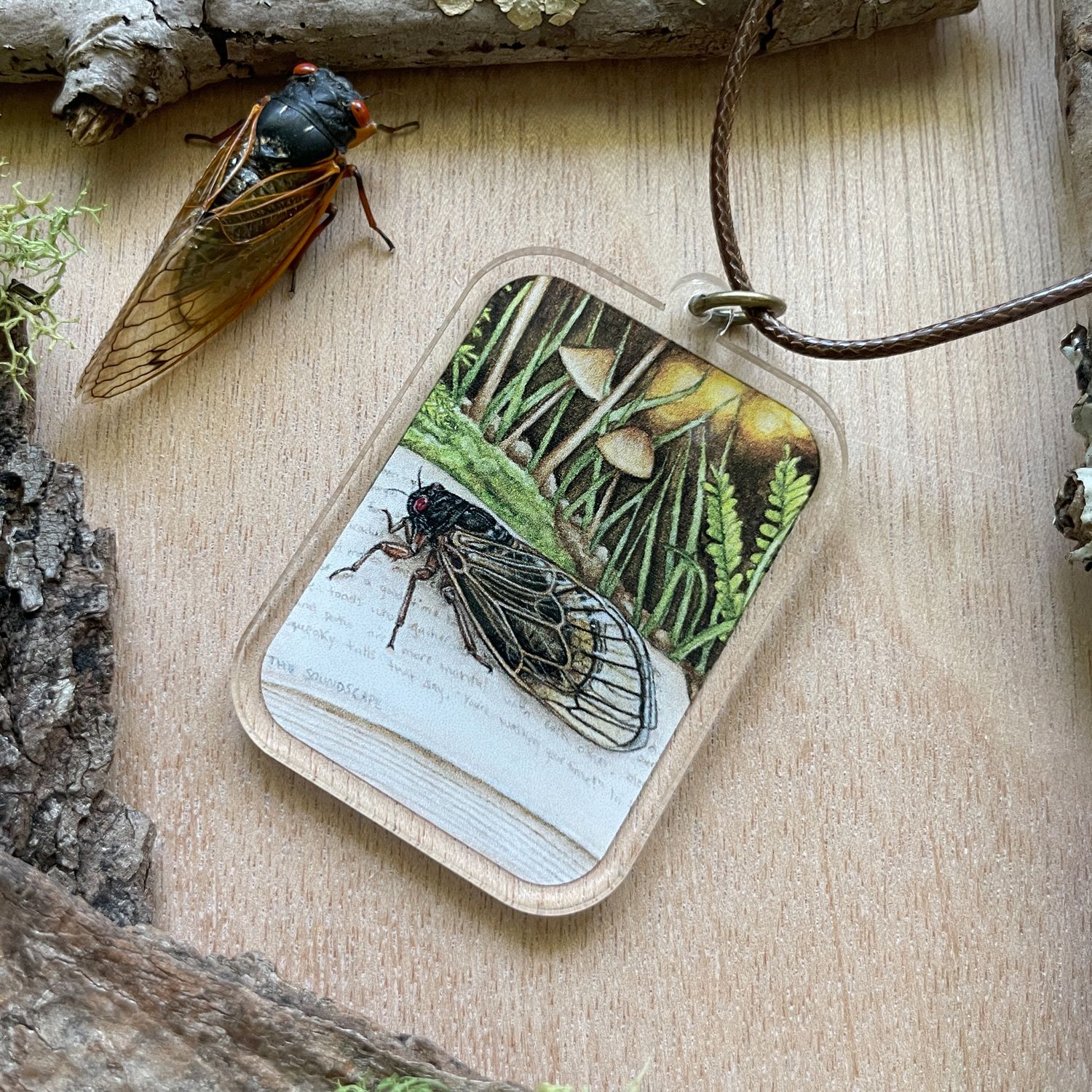 &quot;Albus the Periodical Cicada&quot;