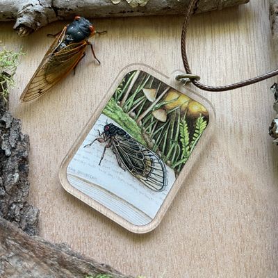 "Albus the Periodical Cicada" "Albus the Periodical Cicada"