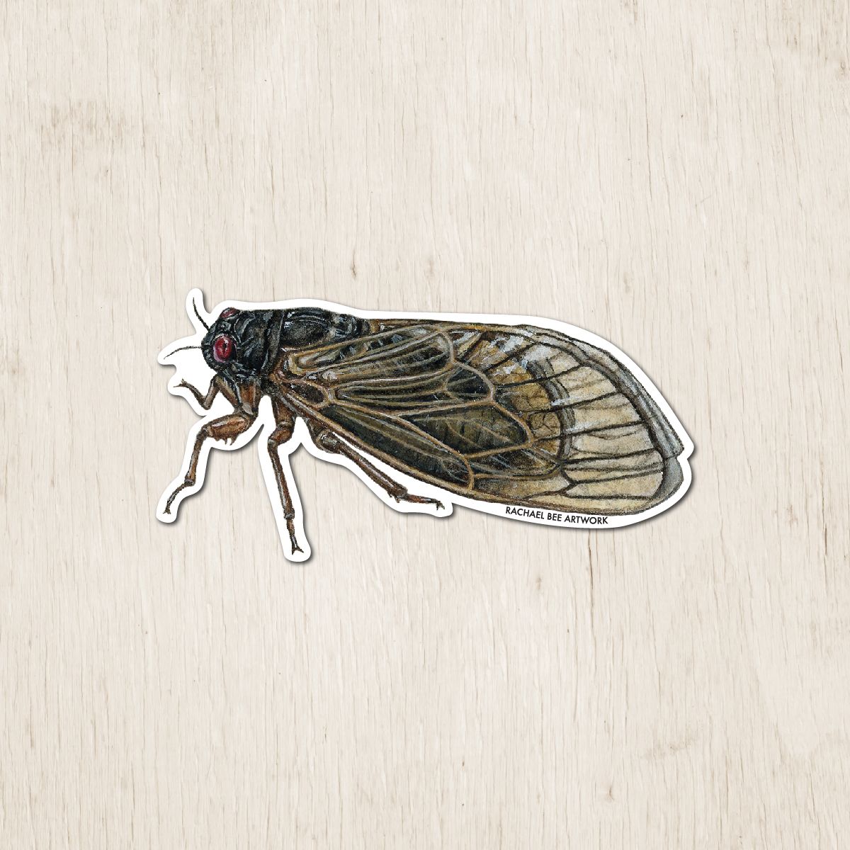 &quot;Albus the Periodical Cicada&quot;