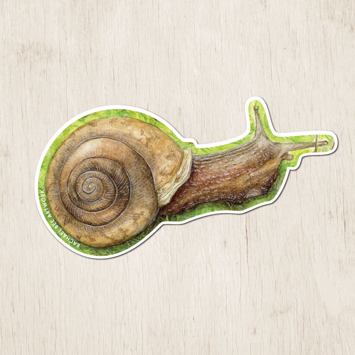 &quot;A Snail&#39;s Journey&quot;