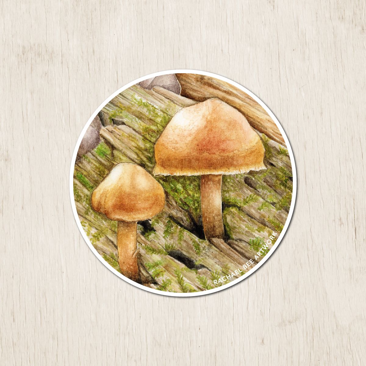 &quot;Deadly Galerina&quot;