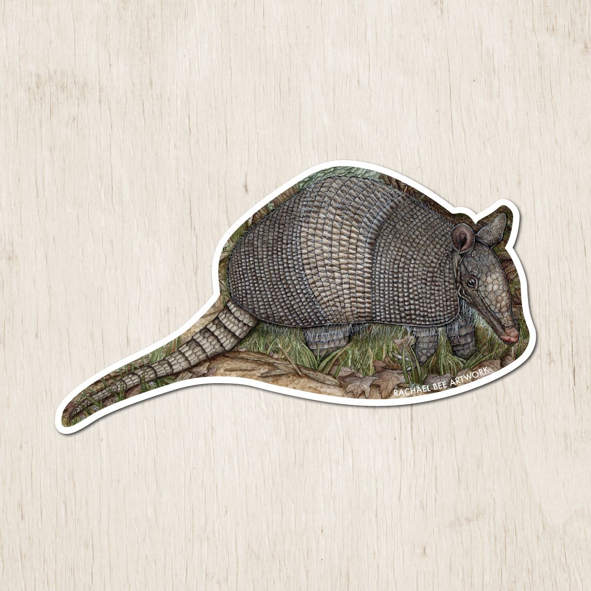 &quot;Lucy the Nine-banded Armadillo&quot;