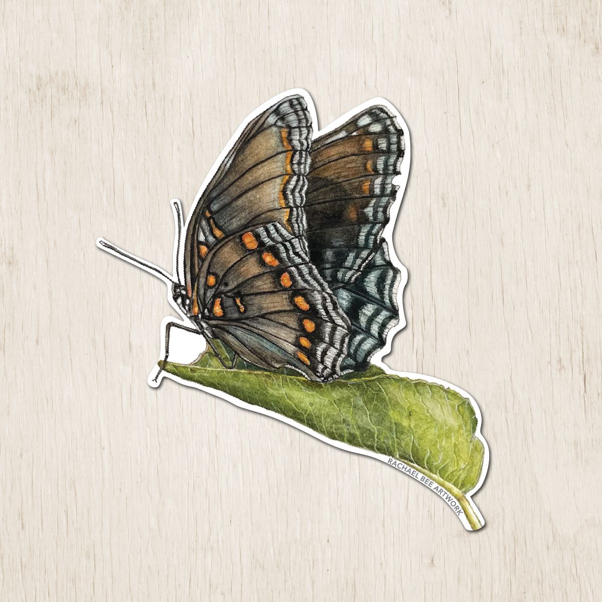 &quot;Red-spotted Purple Butterfly&quot;