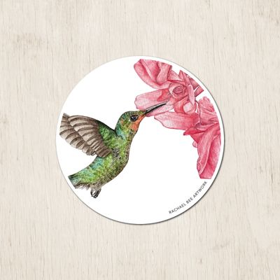&quot;The Hummingbird&quot;