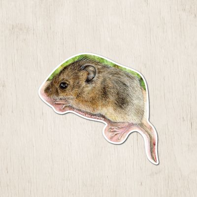 &quot;The Wee Harvest Mouse&quot;