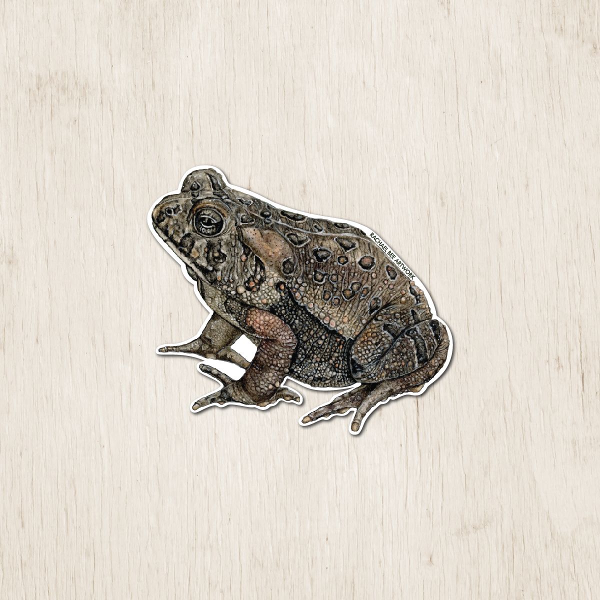 &quot;Toadis the American Toad&quot;