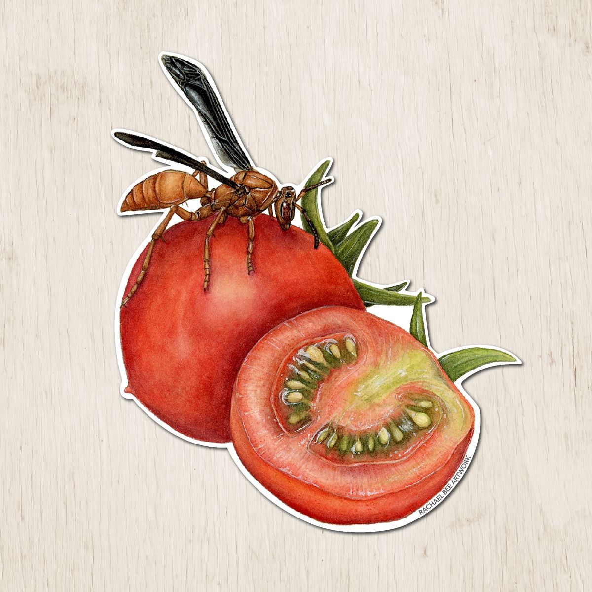 &quot;Nesta the Red Paper Wasp&quot;