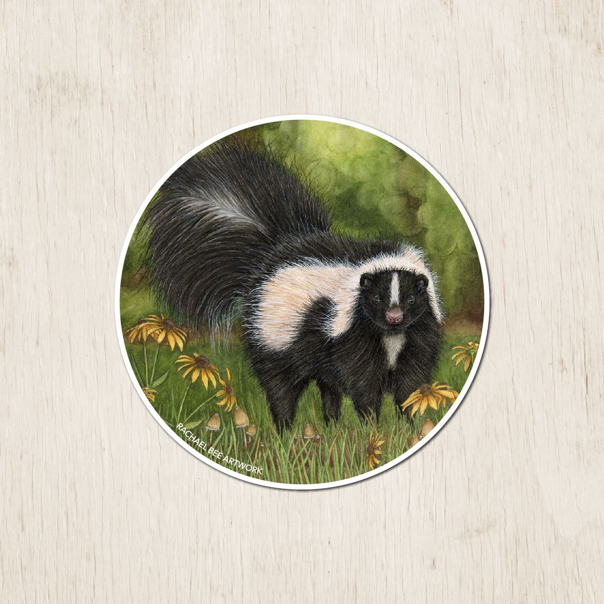 &quot;Kya the Striped Skunk&quot;