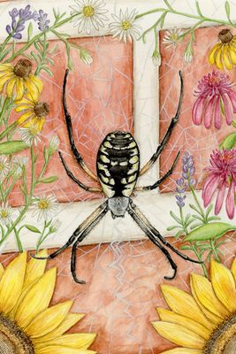 &quot;Penny the Garden Spider&quot;