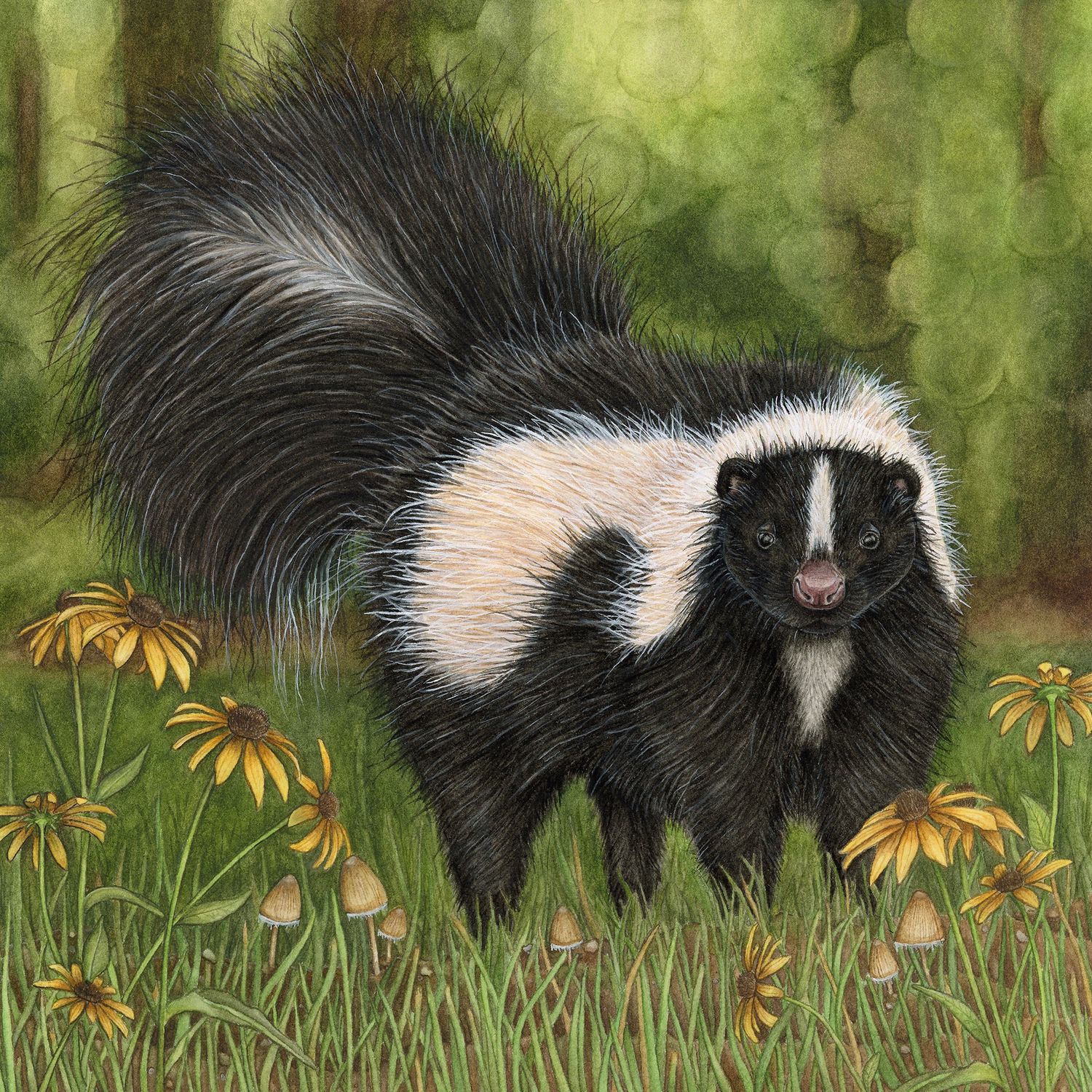 &quot;Kya the Striped Skunk&quot;