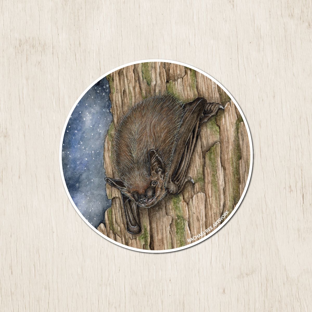 &quot;Bruce the Big Brown Bat&quot;