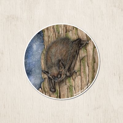 &quot;Bruce the Big Brown Bat&quot;