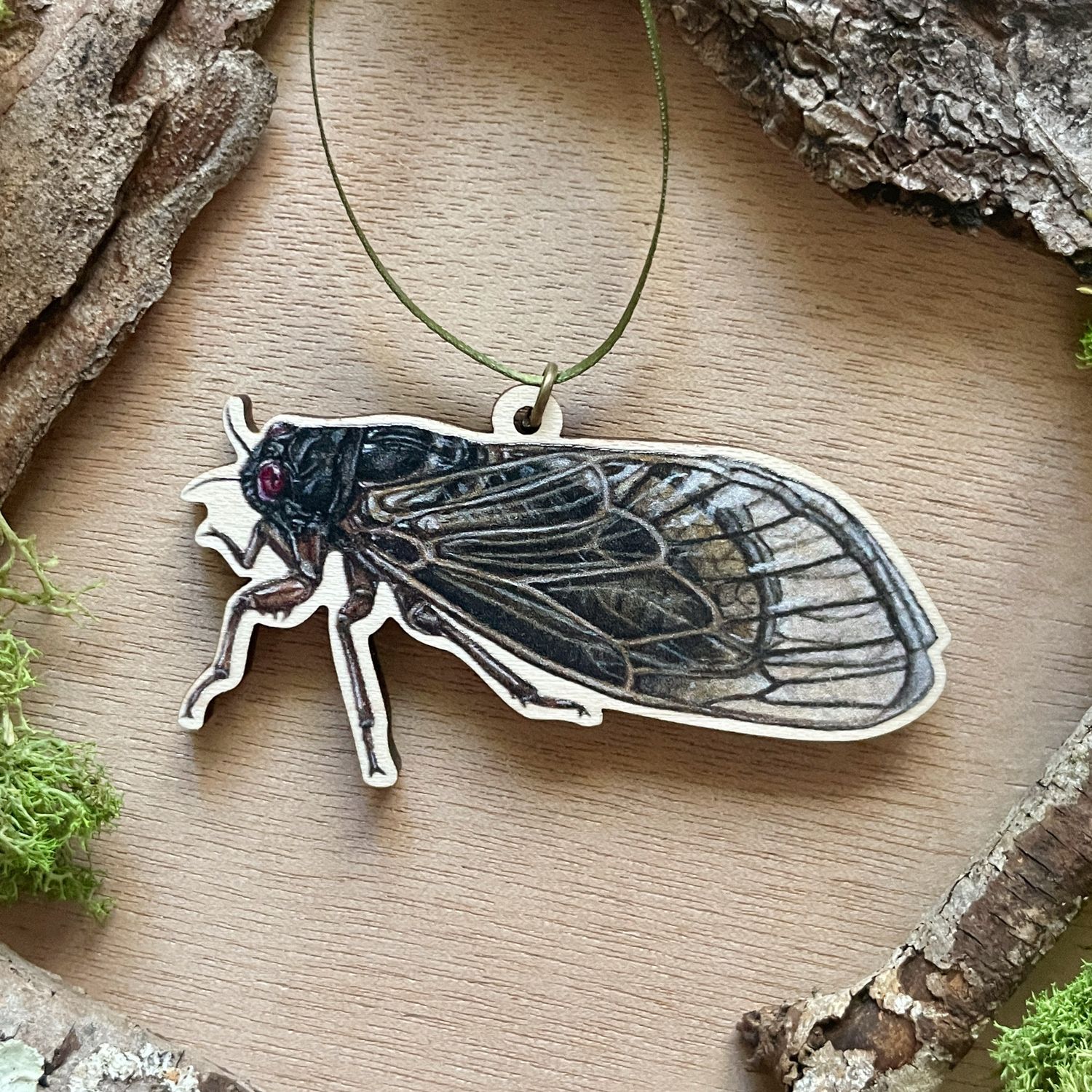 &quot;Albus the Periodical Cicada&quot;