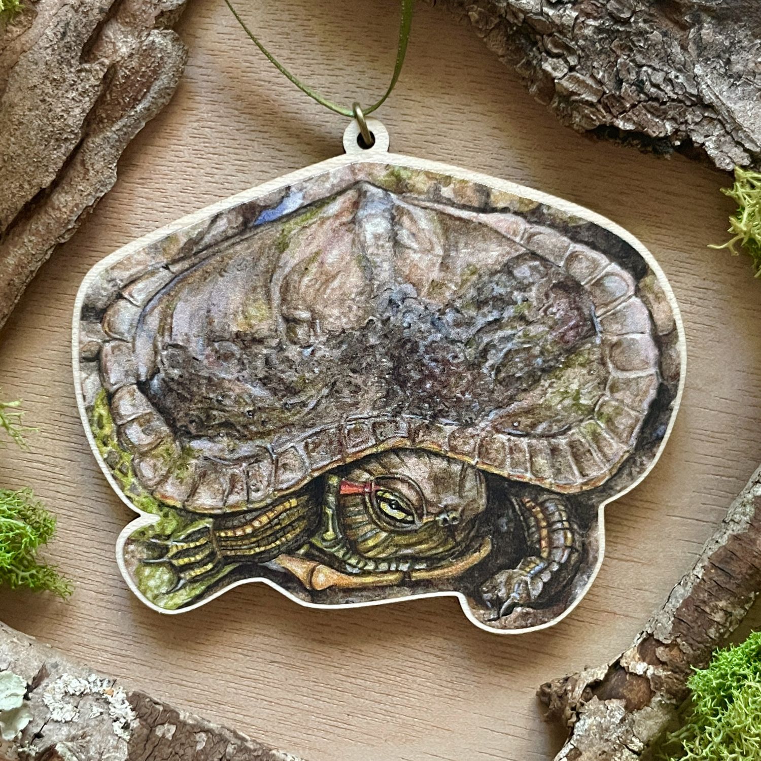 &quot;Bennet the Red-eared Slider&quot;