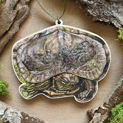 &quot;Bennet the Red-eared Slider&quot;