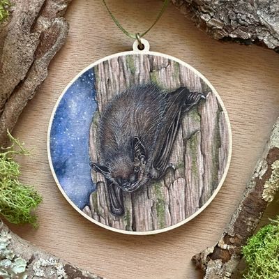 &quot;Bruce the Big Brown Bat&quot;