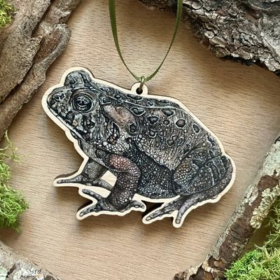 &quot;Toadis the American Toad&quot;