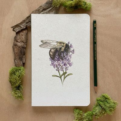 Carpenter Bee Journal