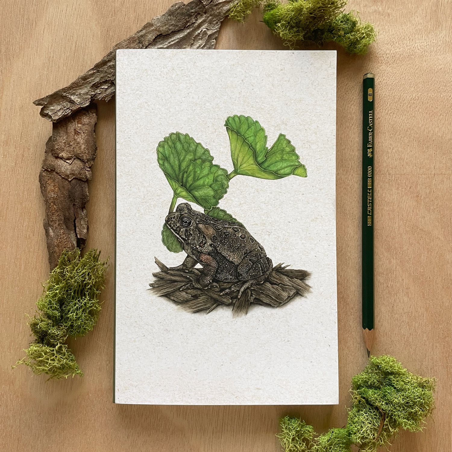 American Toad Journal
