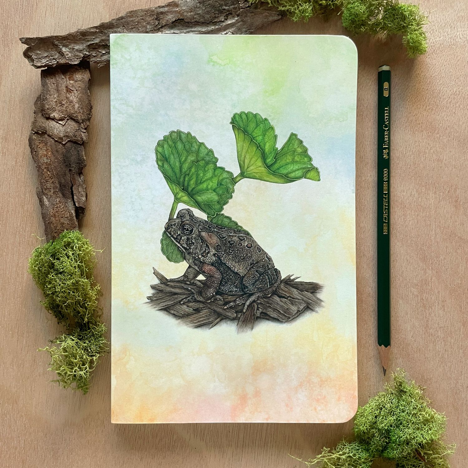 Rainbow Toad Journal