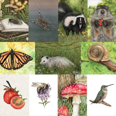 Build a Greeting Card Bundle