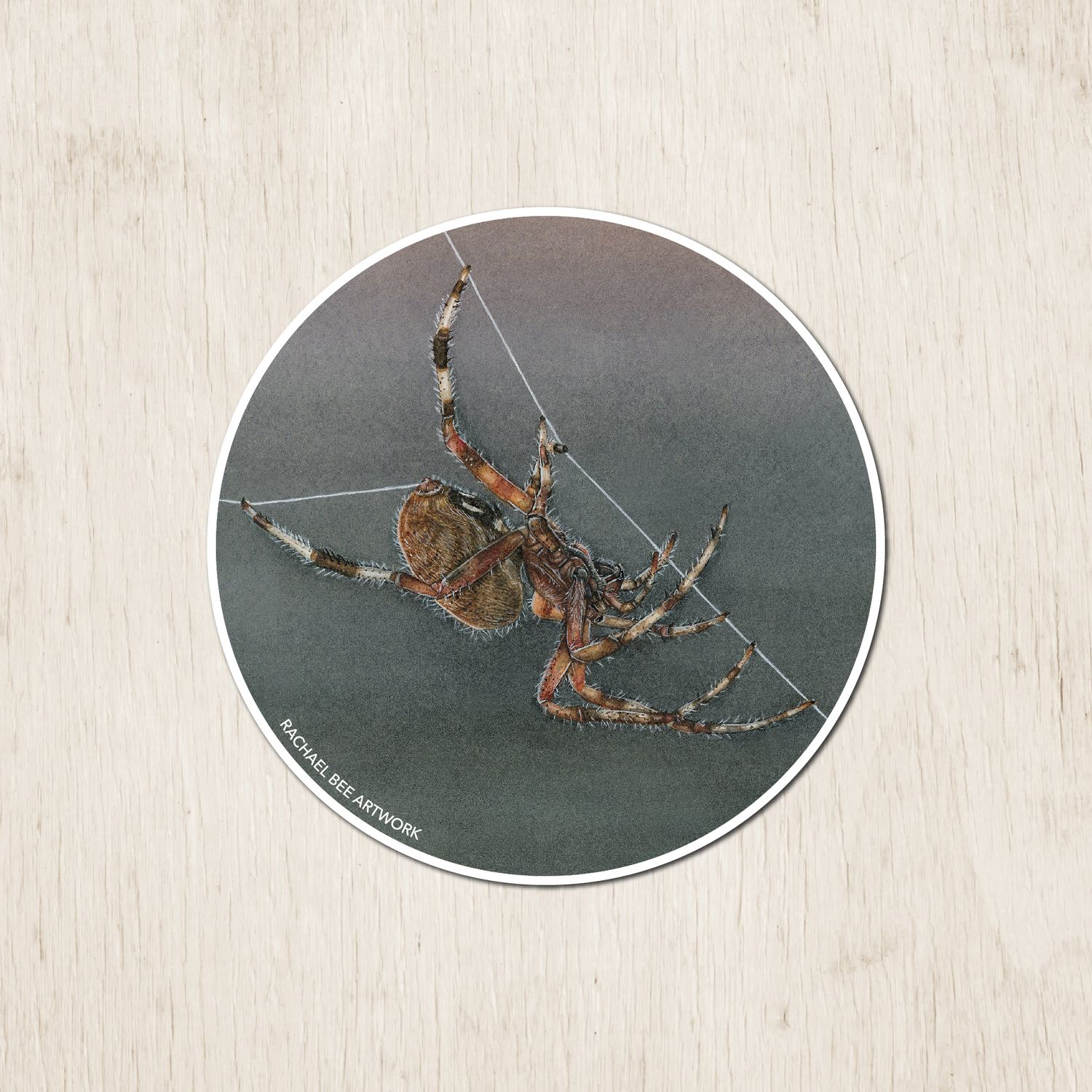 &quot;Amren the Spotted Orb Weaver&quot;